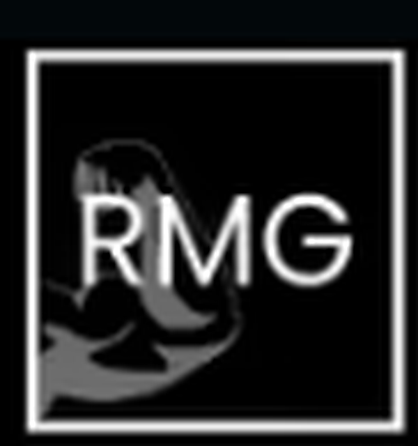 Logo original Déménagement RMG